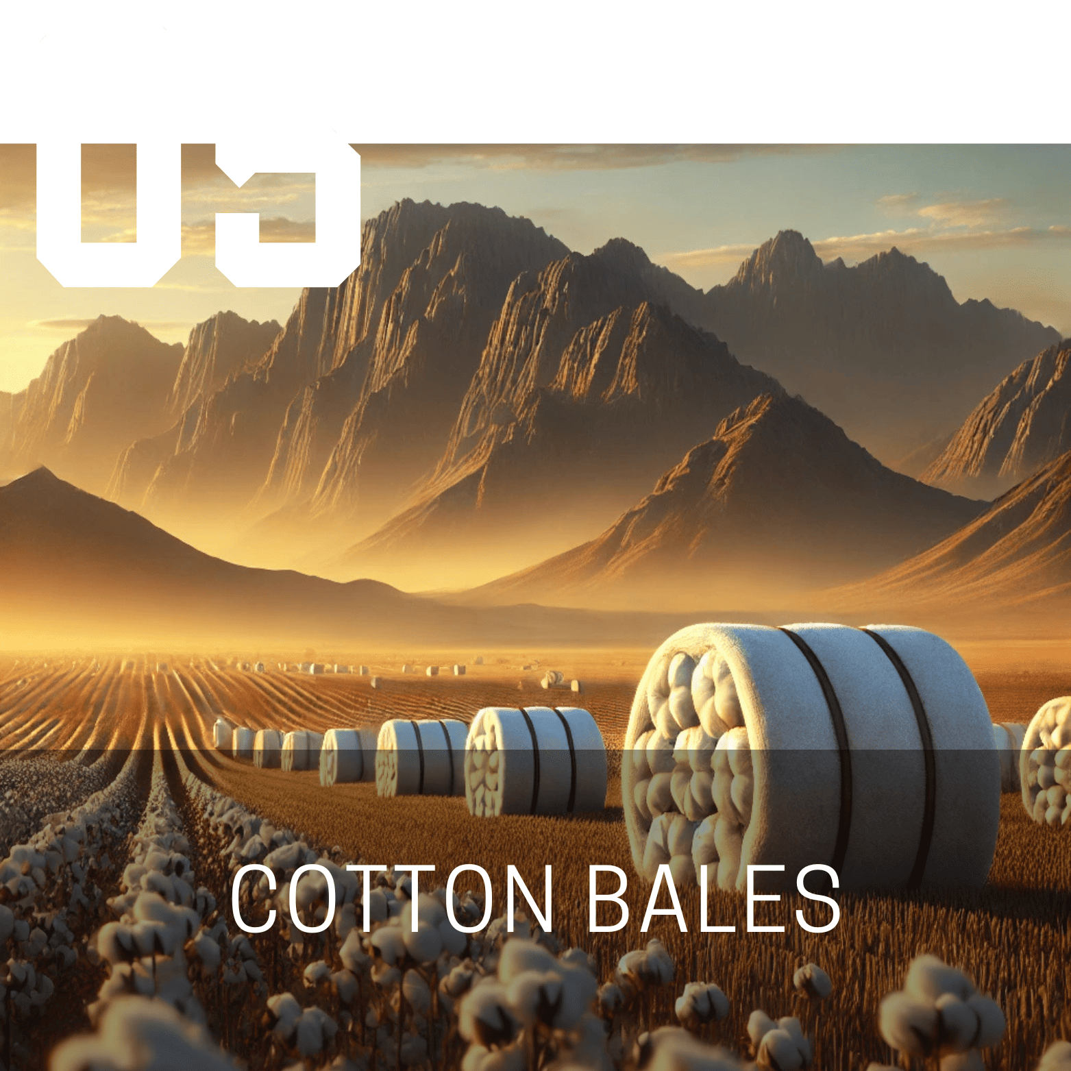 Cotton Bales (Mauli Ginning)