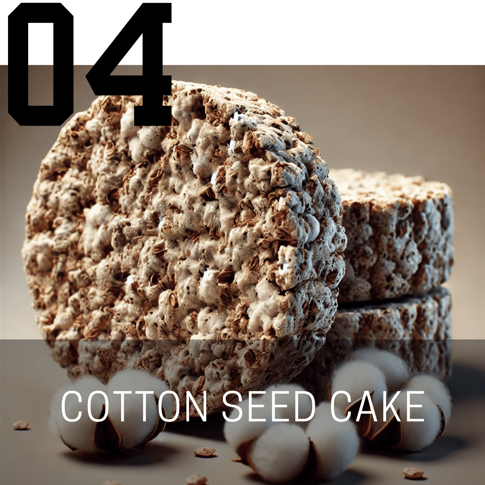 Cotton Seed Cake (Mauli Ginning Products)