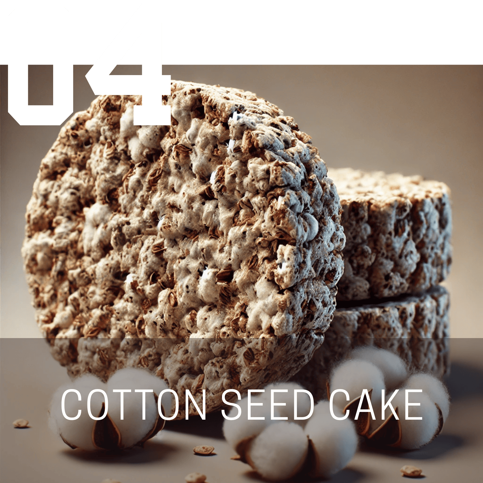 Cotton Seed Cake (Mauli Ginning)