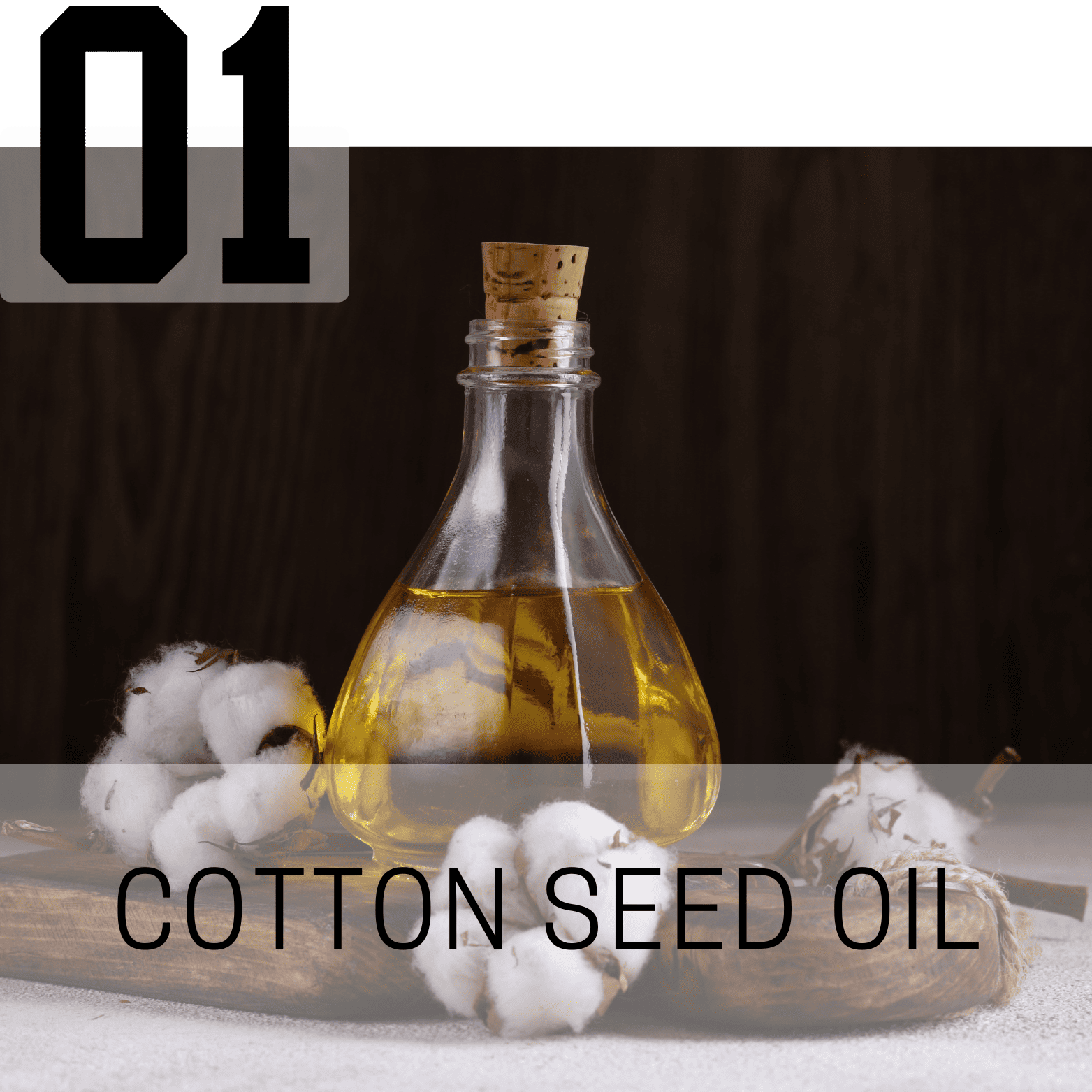 Cotton Seed Oil (Mauli Ginning Products)