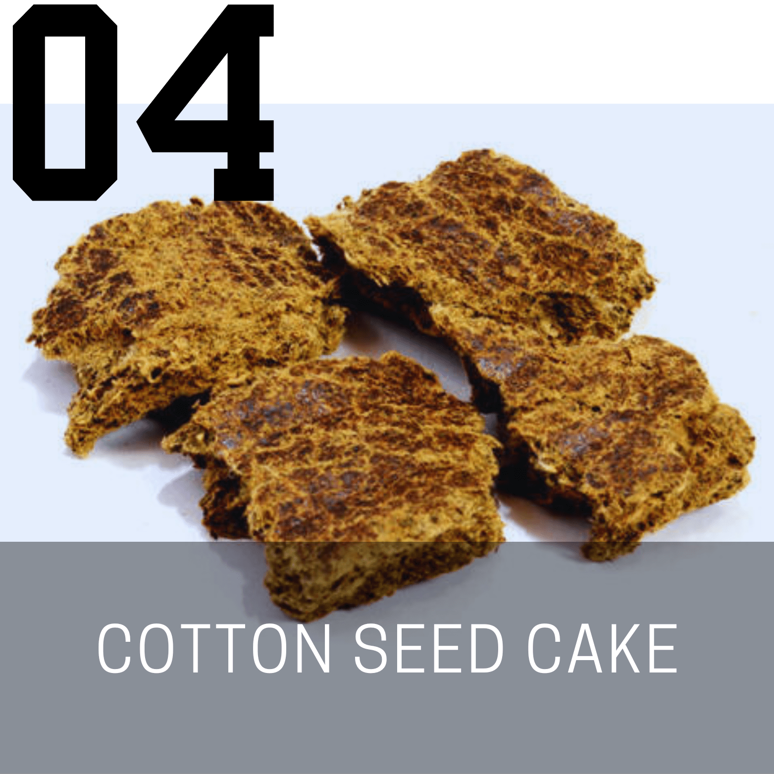 Cotton Seed Cake (Mauli Ginning Products)